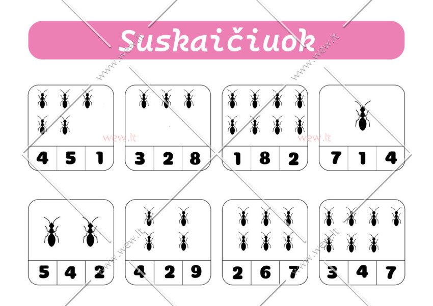 Matematikos užduotis vaikams - suskaičiuok skruzdėles