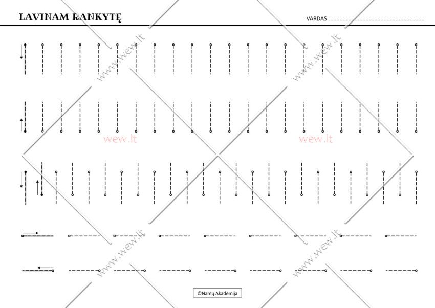 Rankos lavinimas Nr.1