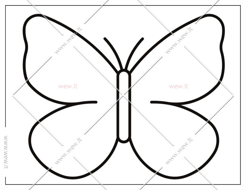 Drugelio kontūras iškirpti