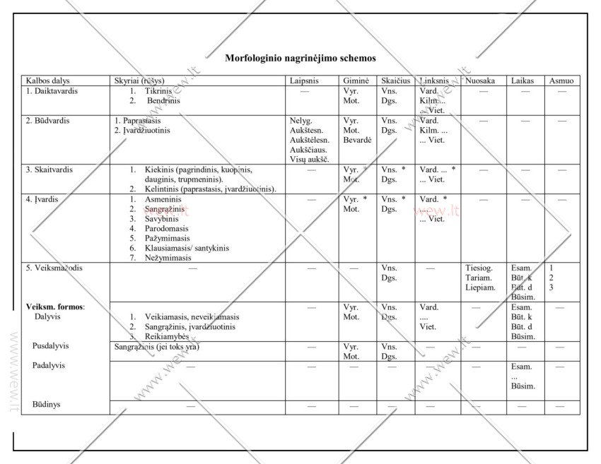 Morfologinio nagrinėjimo schemos
