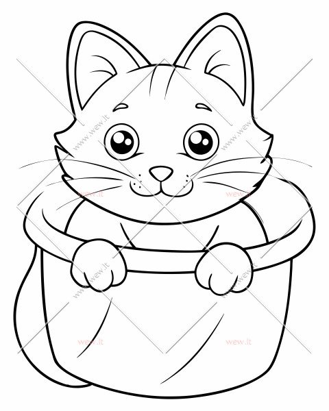 Mielas katinas sėdintis krepšyje