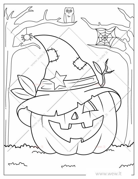 Moliūgas su skrybėle spalvinti