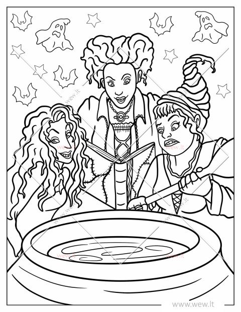 Trys raganos ir jų magiškas katilas (Fokus Pokus)