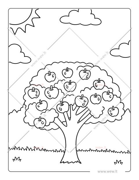 Sodo karalienė obelis