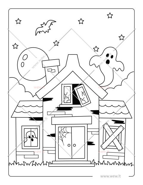 Paslaptingas vaiduoklių namas