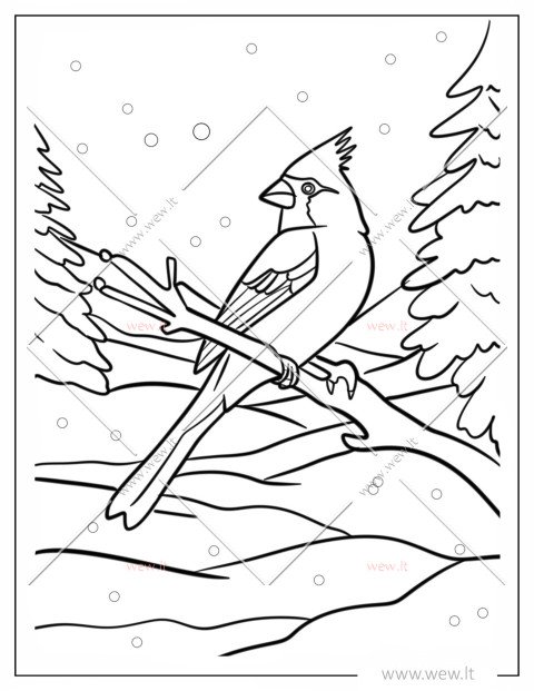 Žiemojantis paukštis - sėdintis ant šakos spalvinti