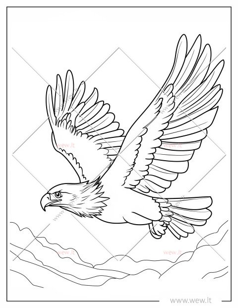 Skrendantis erelis spalvinti