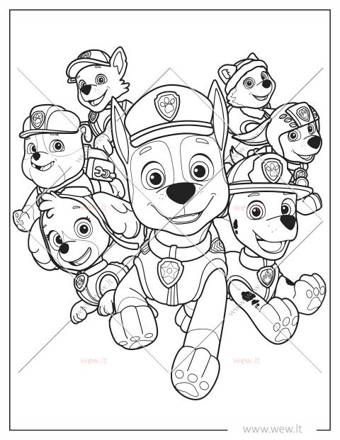 Šunyčiai patruliai spalvinti