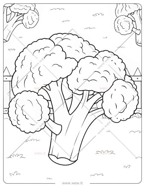 Sveika daržovė brokolis spalvinti