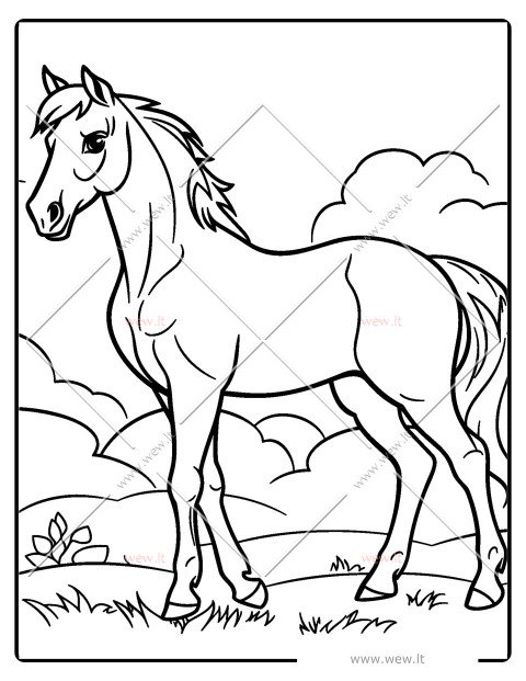 Grakštus žirgas pievoje spalvinti