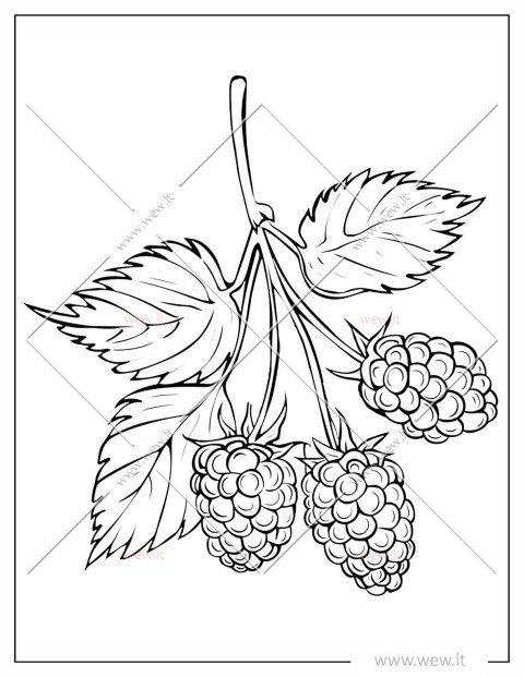 Sultingos avietės spalvinti