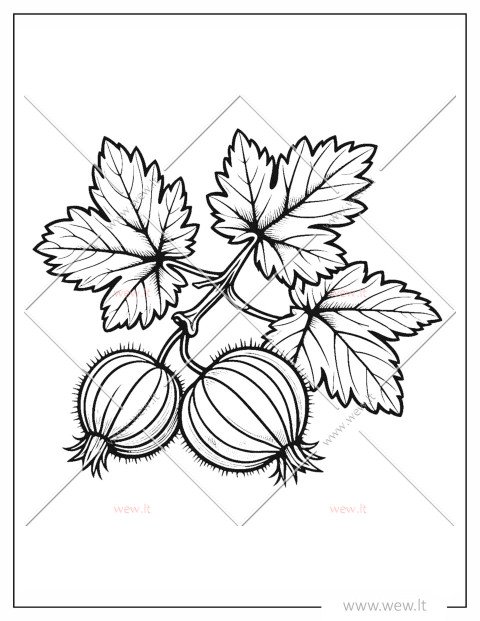 Agrastai su lapais spalvinti