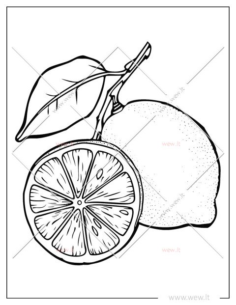 Citrina ir jos puselė spalvinti