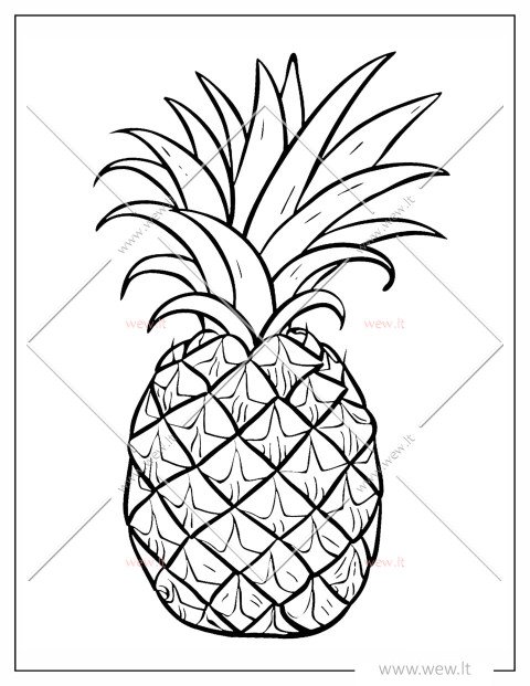 Tropikų vaisius ananasas spalvinti