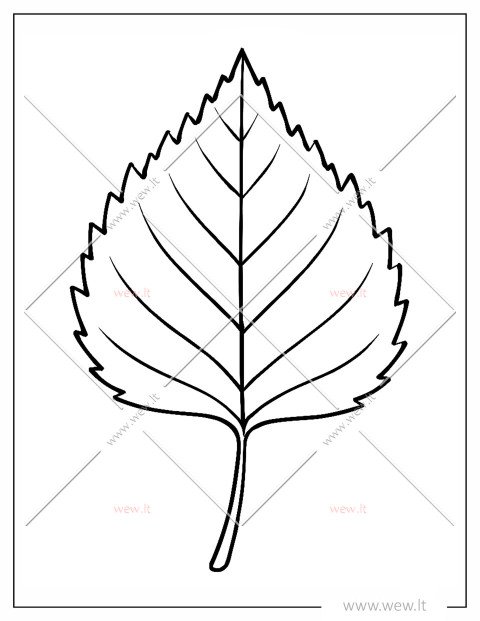 Beržo lapas spalvinti