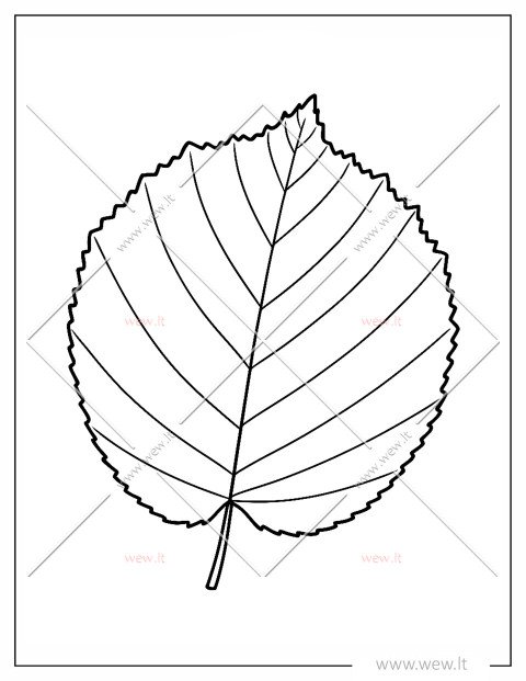 Lazdyno lapas spalvinti