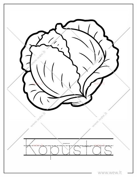 Kopūsto galva spalvinti