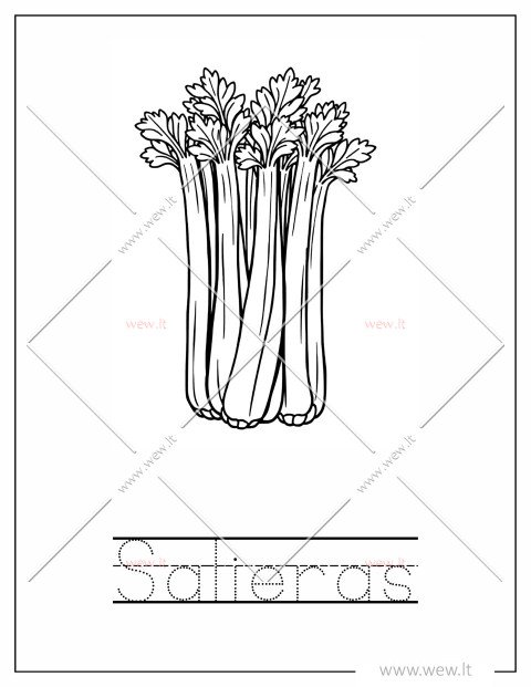 Salieras - derlius spalvinti