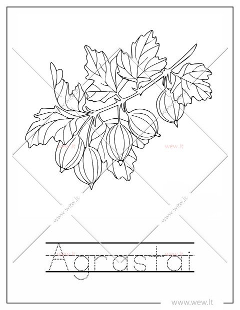 Agrastai spalvinti