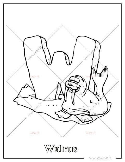 W raidės spalvinimo lapas – Walrus (Vėplys)