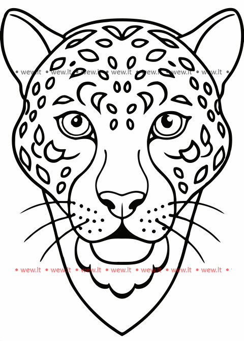 Dėmėtas leopardo veidas