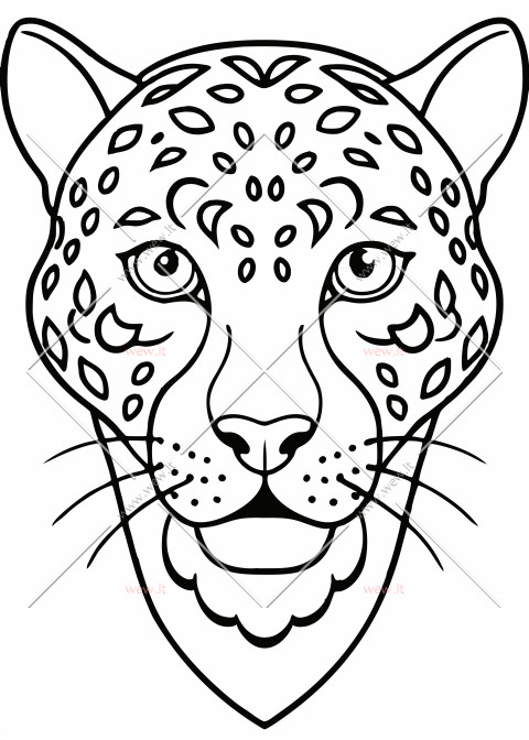 Dėmėtas leopardo veidas