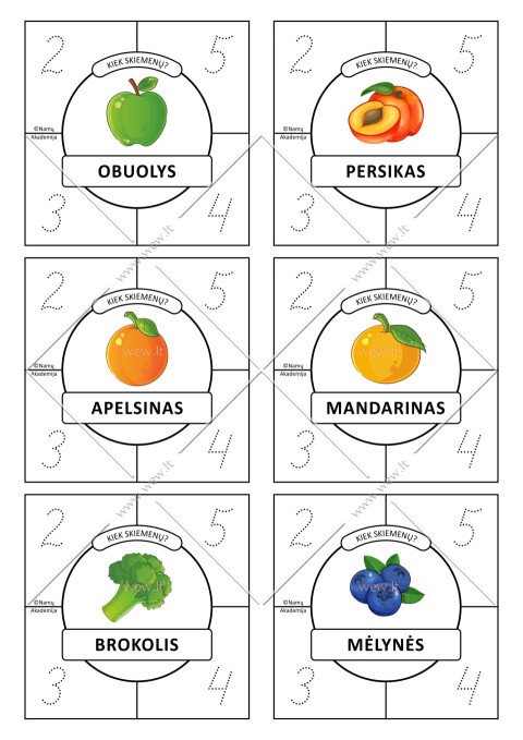 Skiemenų kortelės. Nr.3