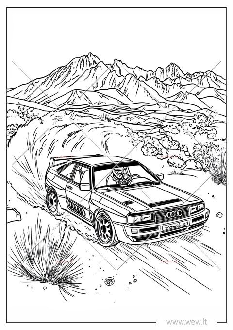 Dakaro ralio bolidas dykumoje