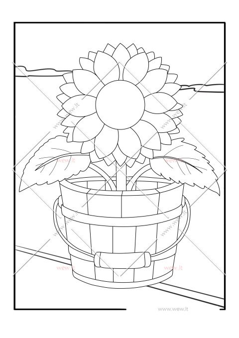 Saulėgrąža kibire spalvinti