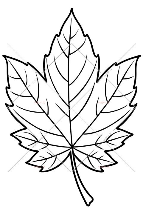 Rudeninis medžio lapas