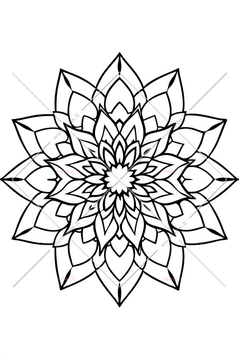 mandala - gyvybės žiedas