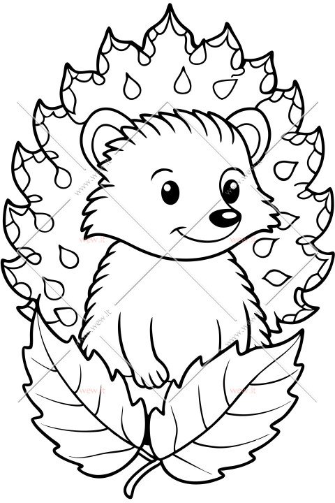 Miško draugas ežiukas