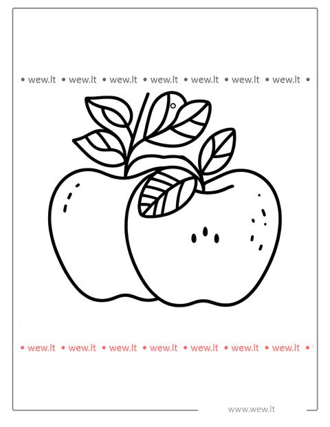 Dua buah apel yang segar