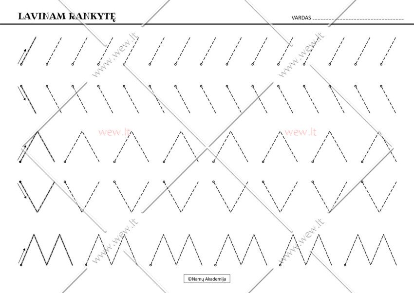 Rankos lavinimas Nr.2