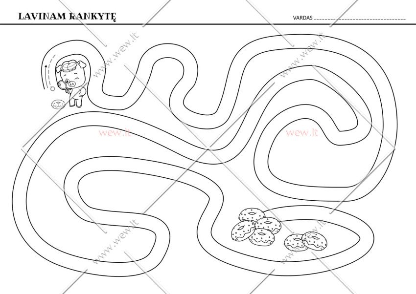 Rankos lavinimas Nr.19