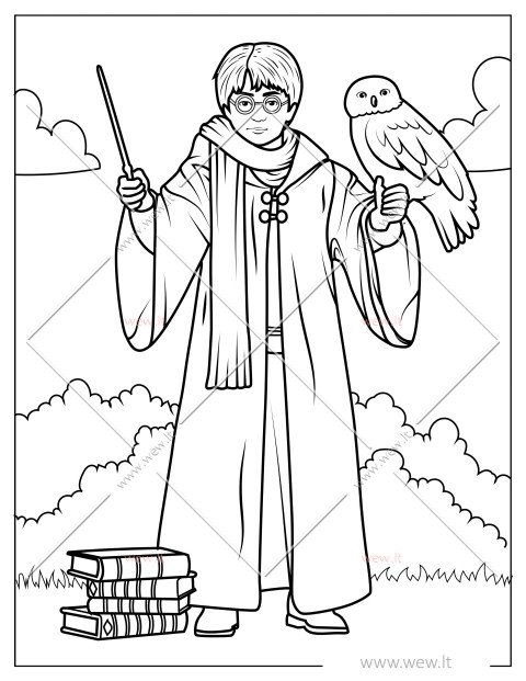 Išmintingasis Haris Poteris