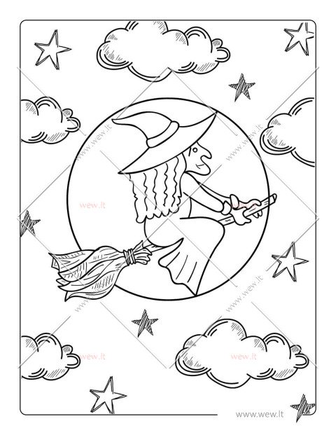 Raganos skrydis - paslaptinga kelionė