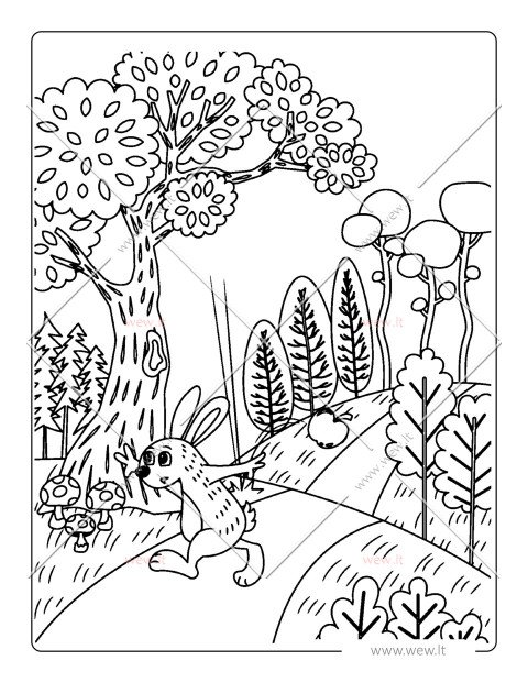 Zuikis skuba į nuotykius spalvinimui