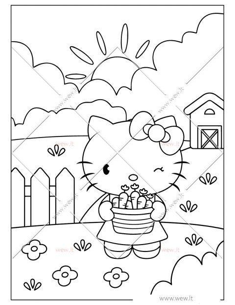 Šviežios daržovės su Hello Kitty