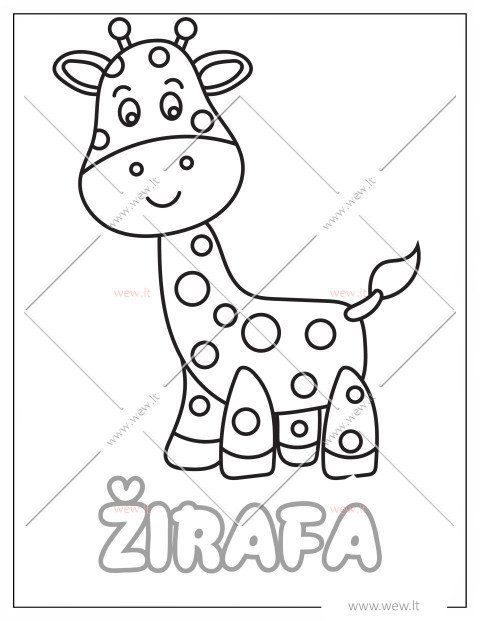 Ilgakaklė draugė žirafa