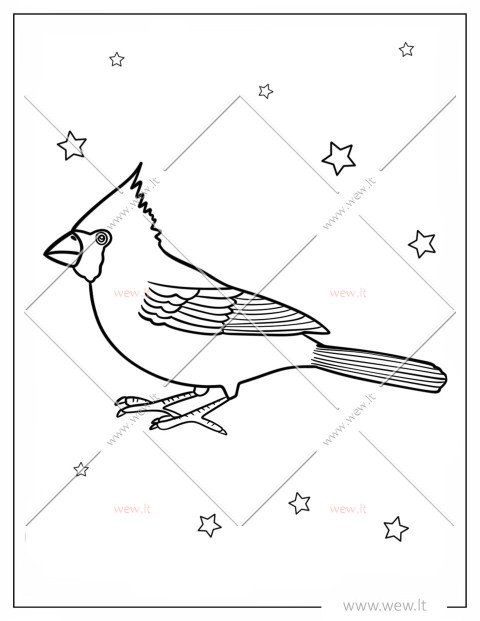 Žiemos svečias paukštis spalvinti