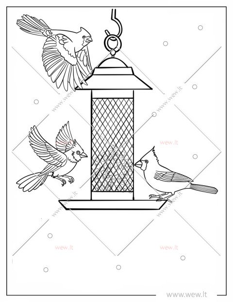 Lesyklėlės svečiai paukštukai spalvinti