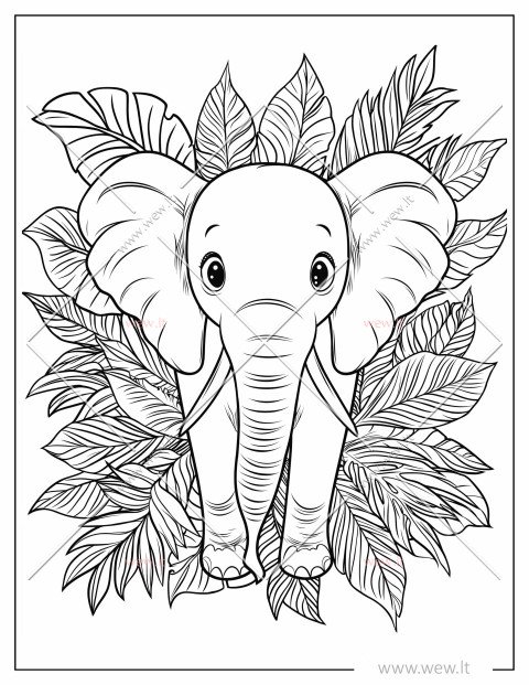 Dramblys tropikuose spalvinti