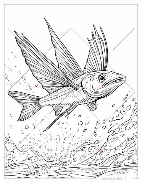 Žuvis skraiduolė spalvinti