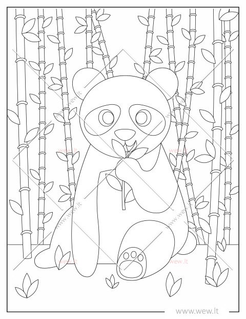 Miela panda bambukų miške spalvinti