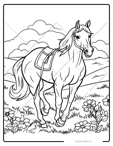 Šuoliuojantis žirgas spalvinti