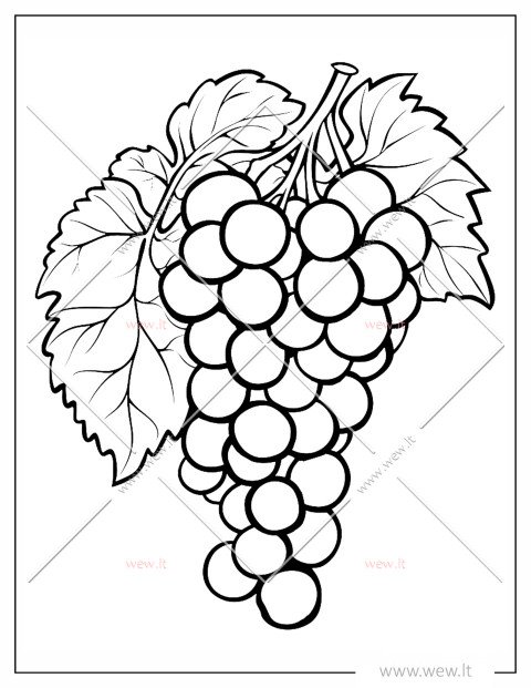 Vynuogių kekė spalvinti