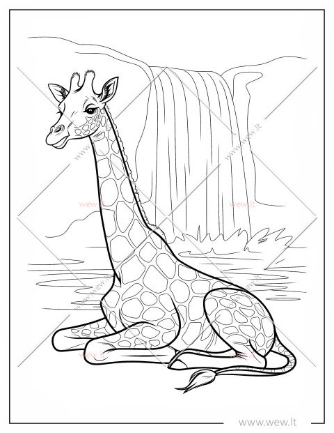 zirafa spalvinti