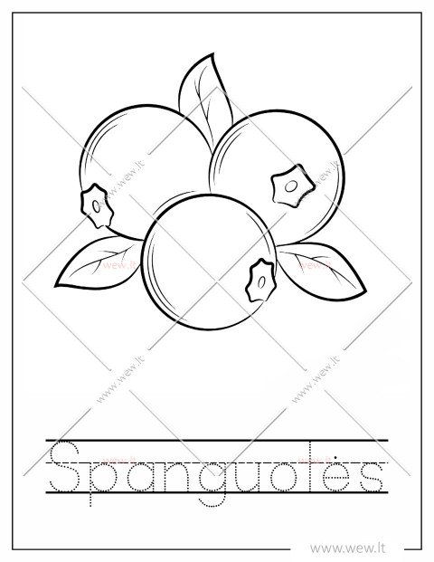 Spanguoles spalvinti