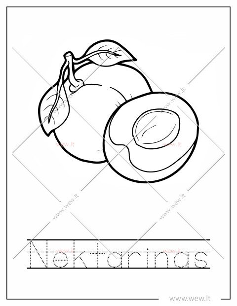 Egzotiškas nektarinas spalvinti